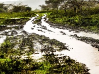 Safari Rally Kenya 2026 - Atmosfera
