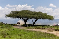 Safari Rally Kenya 2026 - Esapekka Lappi