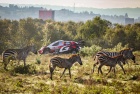 Safari Rally Kenya 2026 - Oliver Solberg