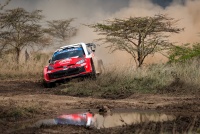 Safari Rally Kenya 2026 - Sami Pajari