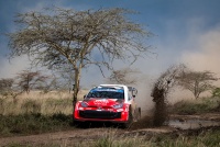 Safari Rally Kenya 2026 - Takamoto Katsuta
