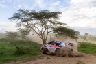 Safari Rally Kenya 2026 - Therry Neuville