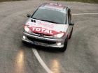 Serbia Rally 2008