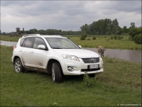 Toyota RAV4 (2010) stigla u Srbiju