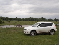 Toyota RAV4 (2010) stigla u Srbiju