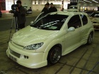 Tuning Styling Show