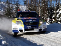 Vladan Petrovic - Rally Sweden