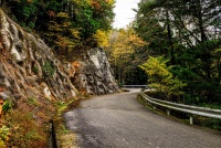 WRC Rally Japan 2025 - Atmosfera