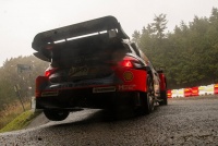 WRC Rally Japan 2025 - Ott Tanak