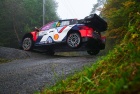 WRC Rally Japan 2025 - Ott Tanak