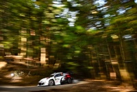 WRC Rally Japan 2025 - Sami Pajari