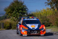 WRC Rally Japan 2025 - Thierry Neuville