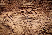 WRC Rally Saudi Arabia 2025 - Atmosfera