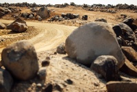 WRC Rally Saudi Arabia 2025 - Atmosfera