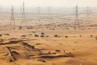 WRC Rally Saudi Arabia 2025 - Atmosfera