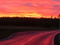 WRC Secto Rally Finland 2026 - Atmosfera