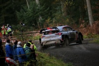 Wales Rally GB 2017 - Thierry Neuville