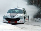 WRC Švedska - Peugeot 207 S2000, neuspešan debi