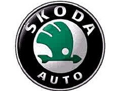 Rally - Škoda Fabia S2000 na salonu u Ženevi