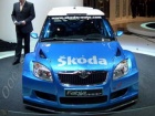 Rally - Skoda Fabia S2000 tek 2008-e