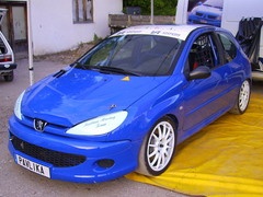 Brdske trke, Žagubica 2007 – Startna lista, trening