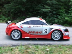 Brdske trke, Žagubica 2007 – Rezultati treninga