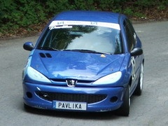 Brdske trke, Žagubica 2007 – Startna lista