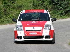 Brdske trke, Goč 2008 – Borkoviću pobeda i rekord staze