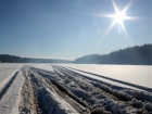 WRC - Rally Sweden kroz objektiv Vladana Petrovića