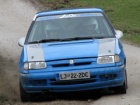 Slovenija, rally – Trka do pobede