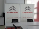 Vitro Group u svom elementu