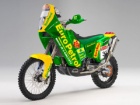 Dakar 2011 - Gabor Sagmajster u novim bojama