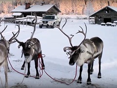 Video: Šta se događa kada Deda Mraz ima umorne irvase