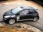 IRC - Basso i Gardemeister na Monteu u Peugeotu 207 S2000