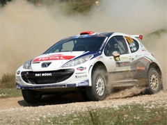 Rally Aradului, Arad - Rumunija: Komentar Nenada Nikolića