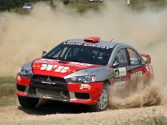 Rally Aradului 2011: Komentar Nenada Nikolića