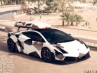 Lamborghini Gallardo LP560 Ski Transporter