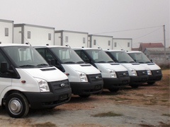 Pekari vole Ford Transit