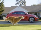 Super Bowl 2012: Parada reklamnih spotova