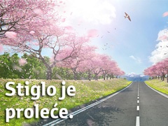 Toyotina prolećna akcija!
