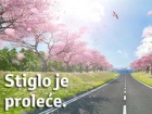 Toyotina prolećna akcija!