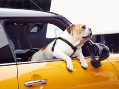 Novi Mini snimljen na ulici + FOTO