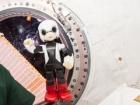 Toyota Kirobo robot astronaut: faza 4 + VIDEO