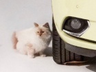 Opel Corsa, Karl Lagerfeld i supermodel Šupet iza kulisa