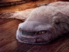 Škoda Yeti kao Jeti - ovakvu reklamu još niste videli