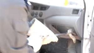 Čovek je bio u kupovini, a kada se vratio, u autu ga je sačekao opasan gost (VIDEO)