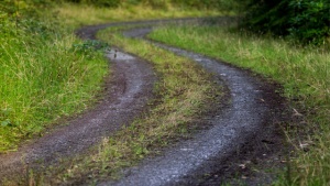 Wales Rally GB 2019 - testovi (VIDEO)